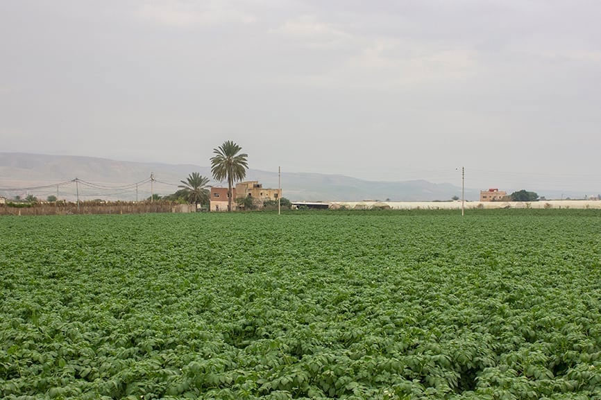 Desert Agriculture Tours