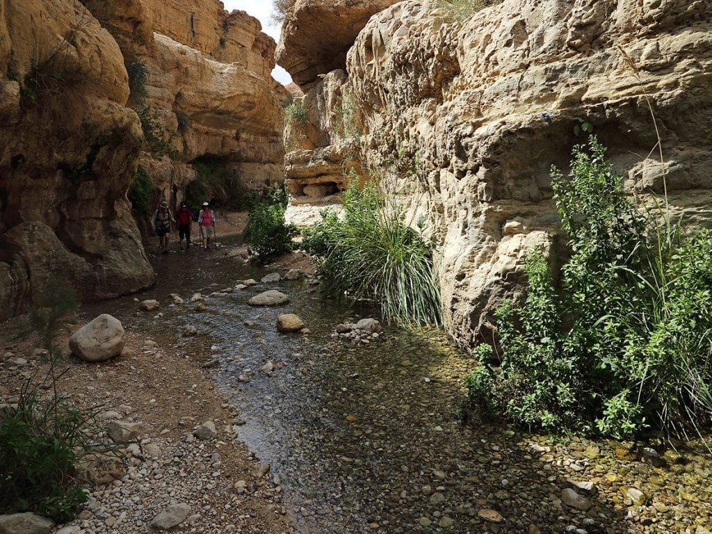 Wadi Arugot - Dry & Water Hiking Trail in Israel | DeadSea.com