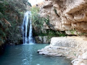 Ein Gedi