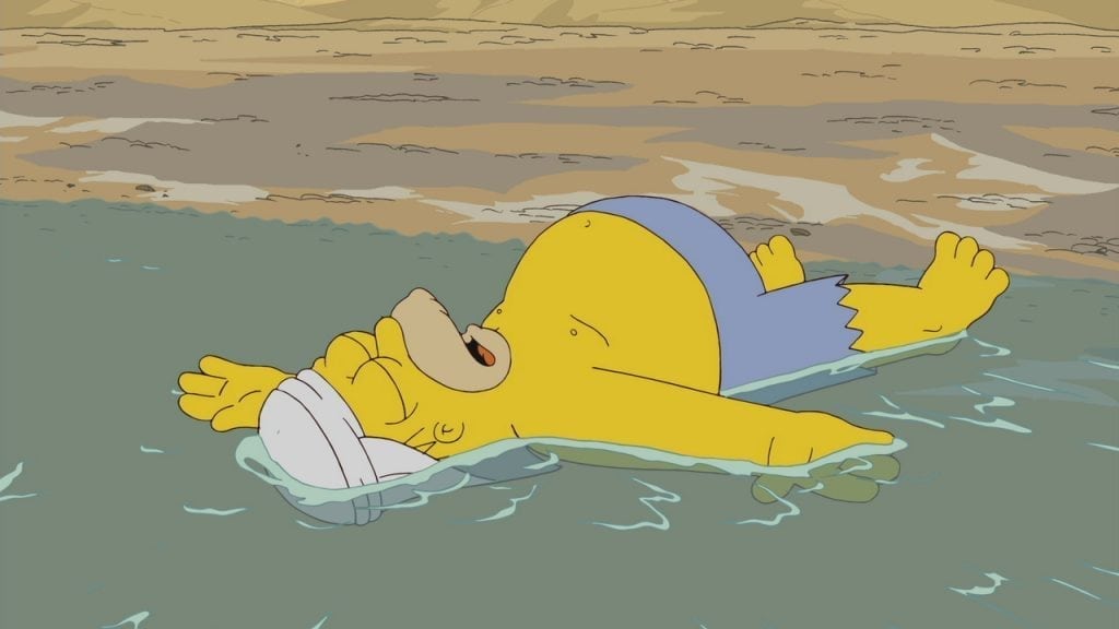 homer simpson in the dead sea