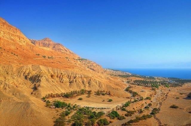 Kibbutz Ein Gedi DeadSea.com