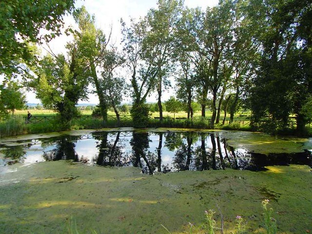 worlds smallest lake