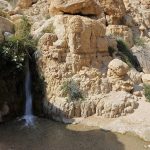 Ein Gedi Israel – The Complete Guide