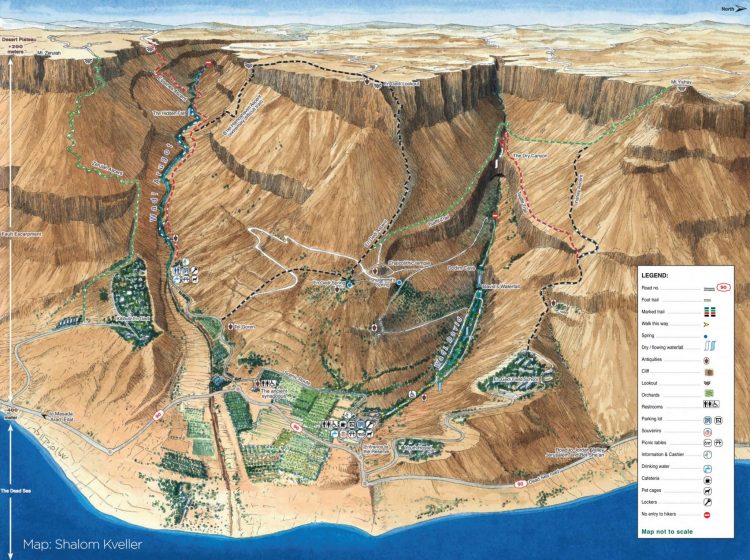 Ein Gedi Map 