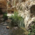 Ein Gedi Nature Reserve and National Park Israel