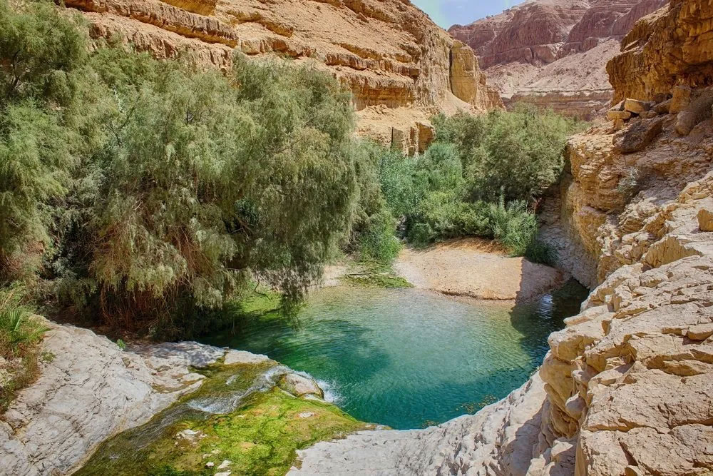 Ein Gedi Nature Reserve