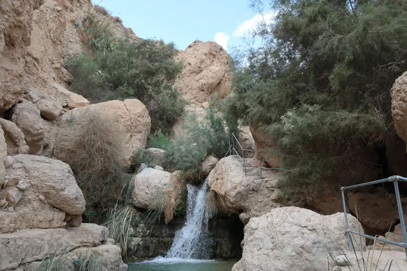 Nahal David & Ein Gedi Trails