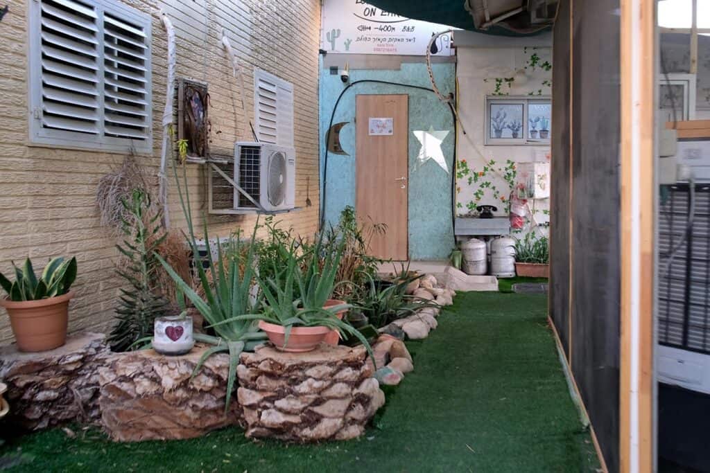 Guesthouse entrance with plants and an outdoor walkway