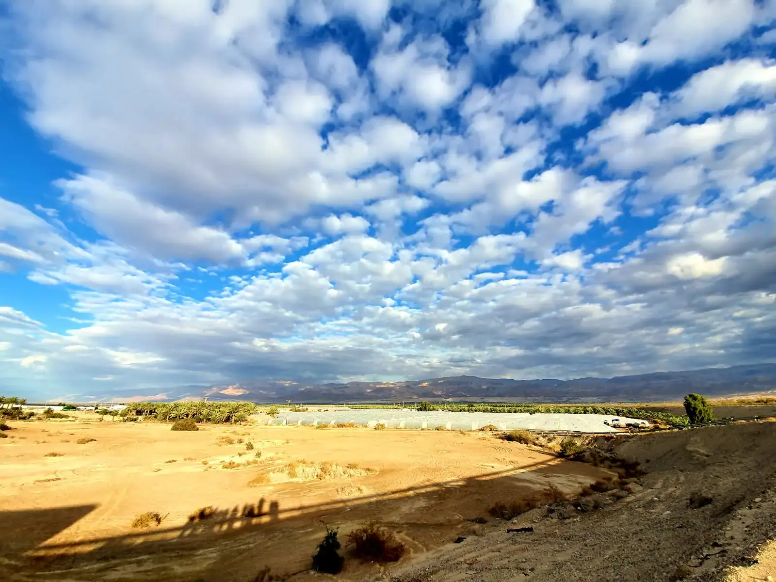 Desert agricultural fields beneath clouds and mountain ridges